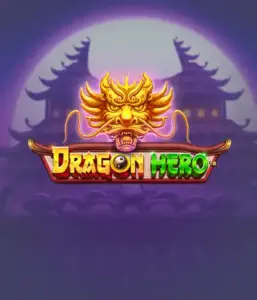 Enter a fantastic quest with the Dragon Hero game by Pragmatic Play, featuring vivid graphics of ancient dragons and epic encounters. Explore a realm where magic meets excitement, with featuring treasures, mystical creatures, and enchanted weapons for a thrilling adventure.